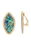 Abalone