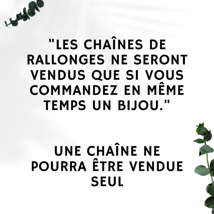 Chaîne de rallonge